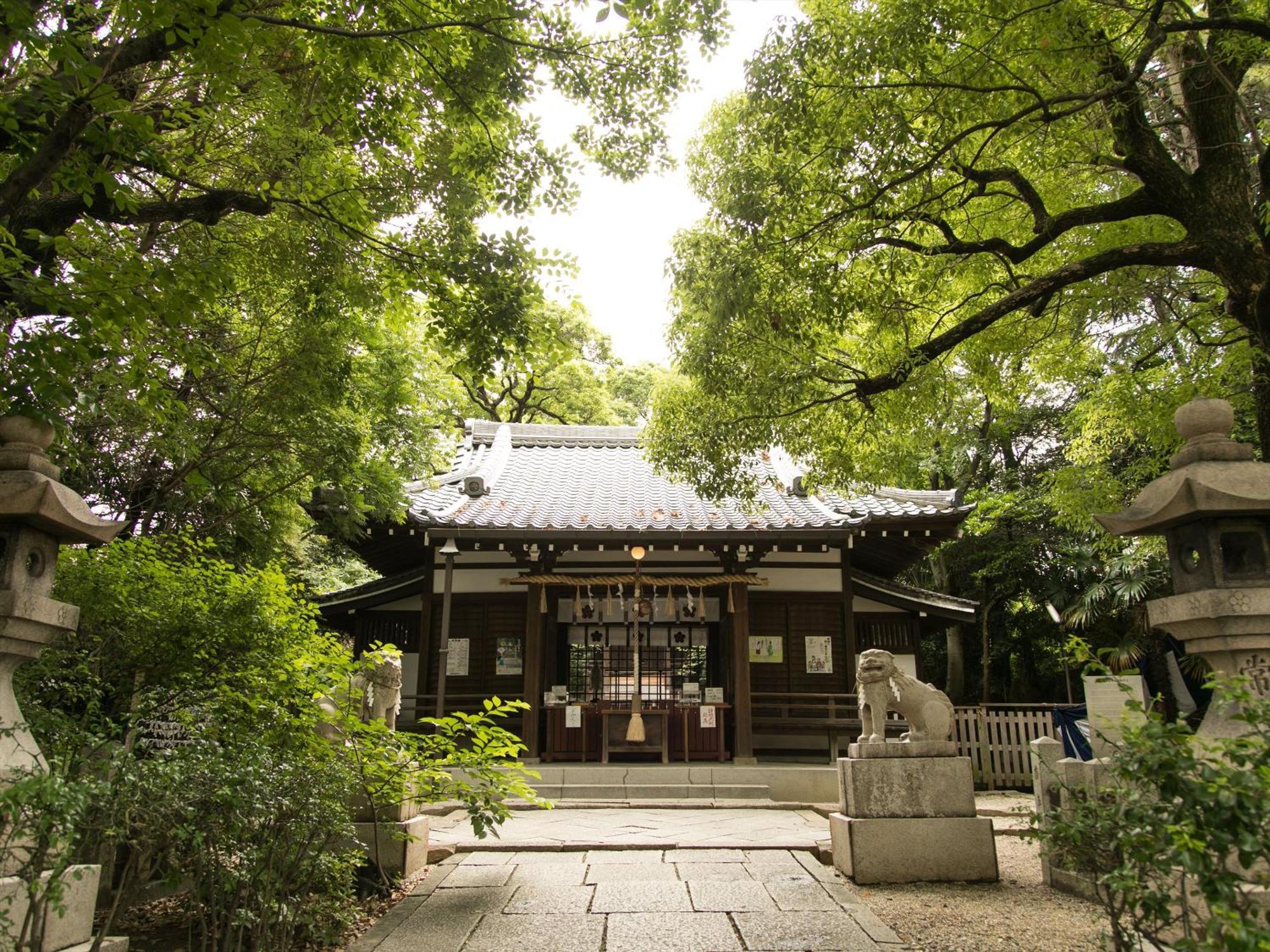 Waqoo Shitaderamachi Ōsaka